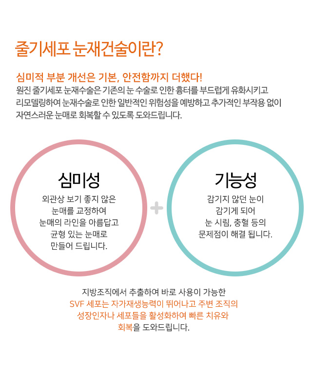 줄기세포 눈재건술이란?
심미적 부분 개선은 기본, 안전함까지 더했다!
원진 줄기세포 눈재수술은 기존의 눈 수술로 인한 흉터를 부드럽게 유화시키고
리모델링하여 눈재수술로 인한 일반적인 위험성을 예방하고 추가적인 부작용 없이
자연스러운 눈매로 회복할 수 있도록 도와드립니다.
심미성 : 외관상 보기 좋지 않은 눈매를 교정하여 눈매의 라인을 아름답고 균형 있는 눈매로 만들어 드립니다. +
기능성 : 감기지 않던 눈이 감기게 되어 눈 시림, 충혈 등의 문제점이 해결 됩니다.
지방조직에서 추출하여 바로 사용이 가능한
svf 세포는 자가재생능력이 뛰어나고 주변 조직의
성장인자나 세포들을 활성화하여 빠른 치유와
회복을 도와드립니다.