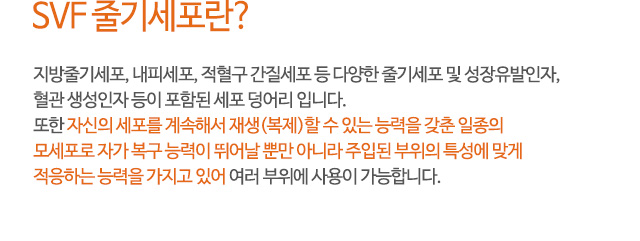 SVF 줄기세포란?
지방줄기세포, 내피세포, 적혈구 간질세포 등 다양한 줄기세포 및 성장유발인자,
혈관 생성인자 등이 포함된 세포 덩어리 입니다.
또한 자신의 세포를 계속해서 재생(복제)할 수 있는 능력을 갖춘 일종의
모세포로 자가 복구 능력이 뛰어날 뿐만 아니라 주입된 부위의 특성에 맞게
적응하는 능력을 가지고 있어 여러 부위에 사용이 가능합니다.