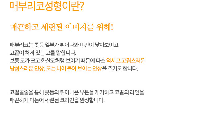 매부리코성형이란?
매끈하고 세련된 이미지를 위해!
매부리코는 콧등 일부가 튀어나와 미간이 낮아보이고
코끝이 처져 있는 코를 말합니다.
보통 코가 크고 화살코처럼 보이기 때문에 다소 억세고 고집스러운
남성스러운 인상, 또는 나이 들어 보이는 인상을 주기도 합니다.
코절골술을 통해 콧등의 튀어나온 부분을 제거하고 코끝의 라인을
매끈하게 다듬어 세련된 코라인을 완성합니다.