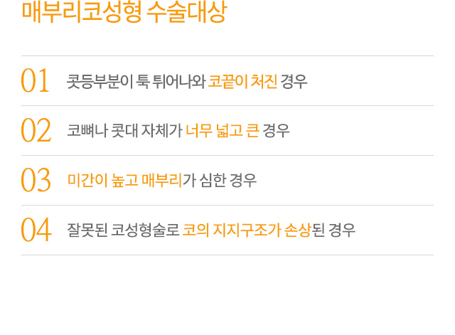 매부리코성형 수술대상
01.콧등부분이 툭 튀어나와 코끝이 처진 경우
02.코뼈나 콧대 자체가 너무 넓고 큰 경우
03.미간이 높고 매부리가 심한 경우
04.잘못된 코성형술로 코의 지지구조가 손상된 경우