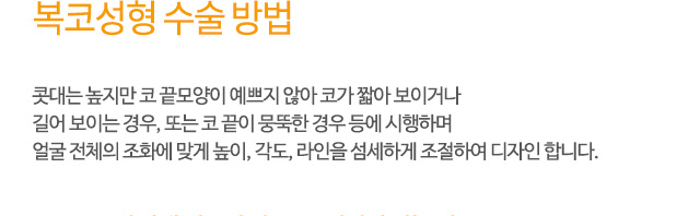 복코성형 수술 방법
콧대는 높지만 코 끝모양이 예쁘지 않아 코가 짧아 보이거나
길어 보이는 경우, 또는 코 끝이 뭉뚝한 경우 등에 시행하며
얼굴 전체의 조화에 맞게 높이, 각도, 라인을 섬세하게 조절하여 디자인 합니다.